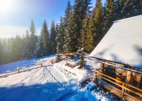 a snow covered cabin with a fence and trees at Leśna Bacówka in Nowy Targ