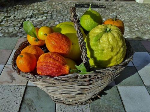 a basket of fruit sitting on a tile floor at B&B and Wellness Il Pomario di Montepiglio Resort Naturista in Amelia