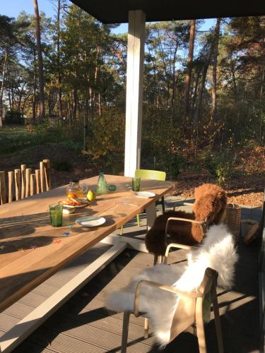 a wooden table with a dog sitting on a chair next to it at Natuurhuisje Pine & Oak 6 persoons in Hardenberg