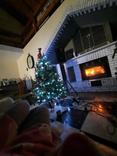 a christmas tree in a living room with a fireplace at La Gallina Nel Castello in Albenga