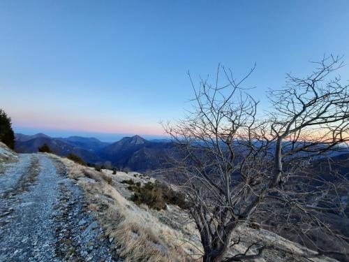 a tree on the side of a mountain at La Gallina Nel Castello in Albenga