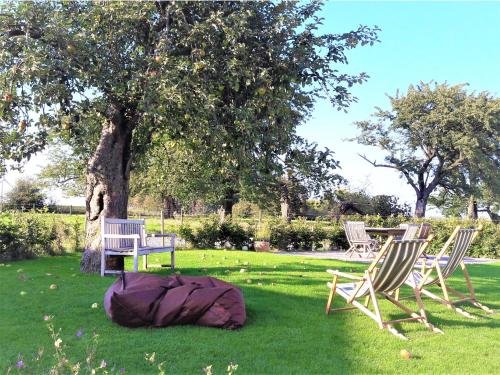 three chairs sitting in the grass under a tree at La Cense de Baudecet - Le Corps de Logis in Gembloux