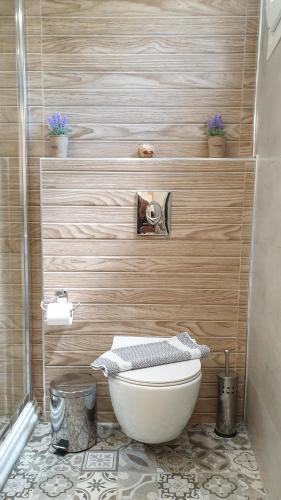 a bathroom with a toilet and a wooden wall at Helen Apartments & Studios in Agios Stefanos