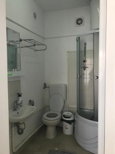 a bathroom with a toilet and a sink and a shower at Pensiunea Scoika Steaguri Neptun in Neptun