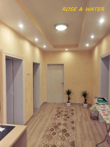 a large room with two potted plants in it at Rose & Water Guest house in Pavel Banya