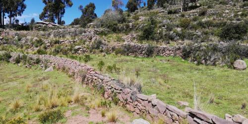 a stone wall in a field next to a hill at Taquile Hospedaje Mario in Huillanopampa
