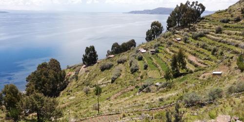 a hillside with houses on it next to the water at Taquile Hospedaje Mario in Huillanopampa