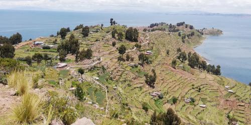 an island in the ocean with houses on a hill at Taquile Hospedaje Mario in Huillanopampa