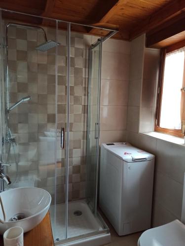 La salle de bains est pourvue d'une douche, de toilettes et d'un lavabo. dans l'établissement Casa Rural La Cabaña, à Cangas de Onís