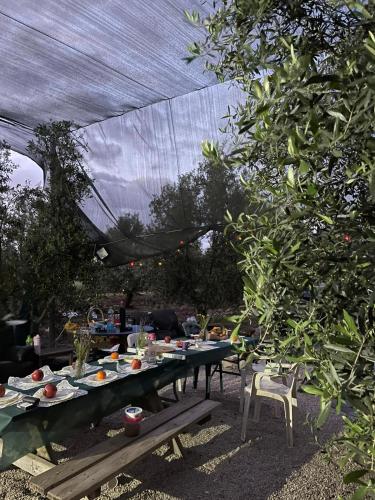 a picnic table with food on it in a garden at אוהל הזית in Maʼor