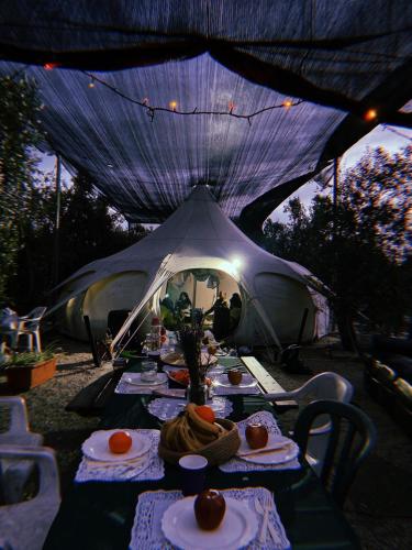a table in a tent with food on it at אוהל הזית in Maʼor
