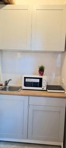 a kitchen counter with a microwave and a sink at Soggiorno dell Agnolo in Florence