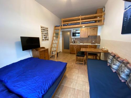 TV a/nebo společenská místnost v ubytování Cihlářka Apartmán 109 - Pec pod Sněžkou Černá Hora