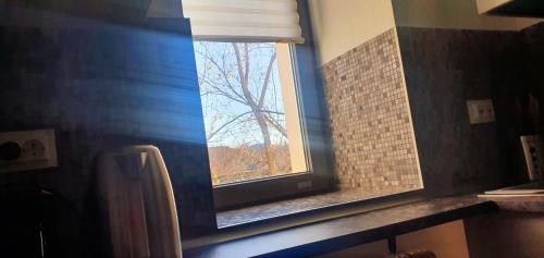 a window in a bathroom with a tree outside at Nordapartament in Suceava