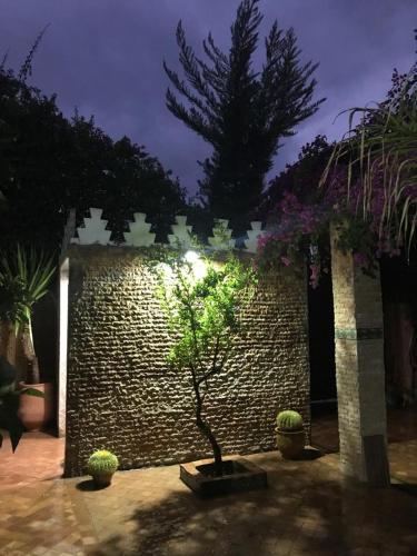 a tree in front of a brick wall at night at Les Jardins de Ryad Bahia in Meknès