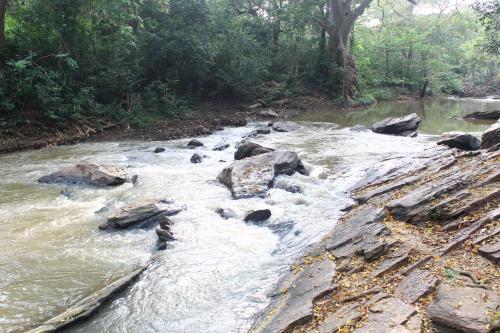 a stream of water with rocks in a forest at HIKKADUWA REST in Mailagamuwa