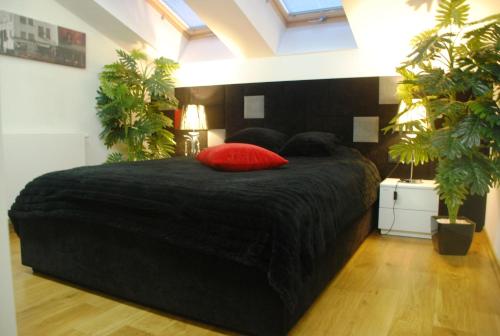 a bedroom with a black bed with a red pillow at Black & White in Kraków