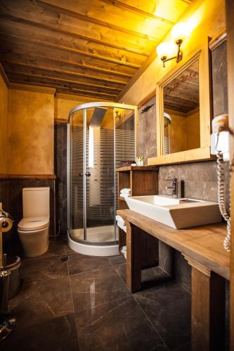 a bathroom with a sink and a shower and a toilet at Vitina House in Vitina