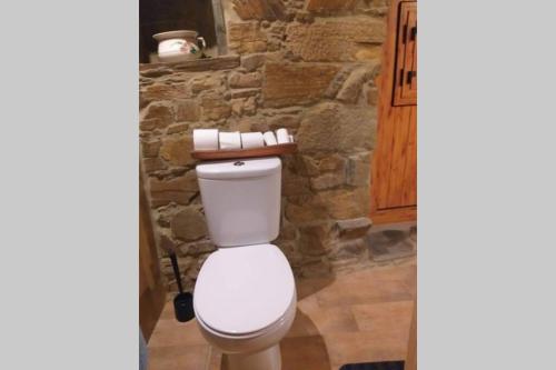 a white toilet in a room with a stone wall at Casas da Cabrieira in Proença-a-Nova