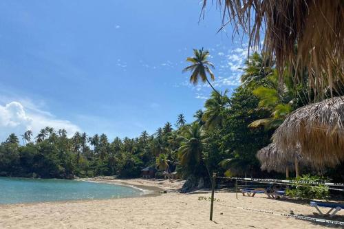 a sandy beach with palm trees and the ocean at Apartamento Condominio Vista Mare Samana in Santa Bárbara de Samaná