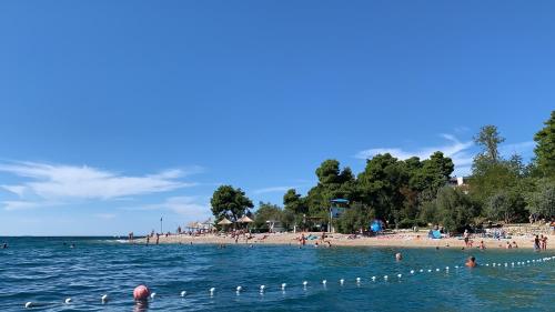 Φυσικό τοπίο κοντά σε αυτό το διαμέρισμα