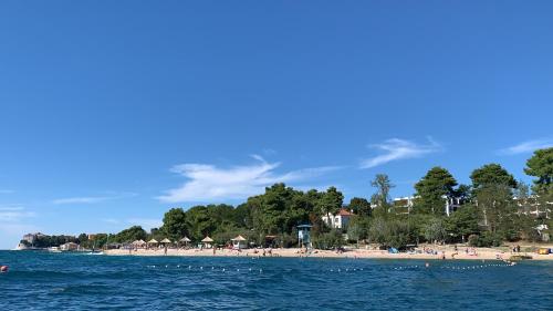 Φυσικό τοπίο κοντά σε αυτό το διαμέρισμα