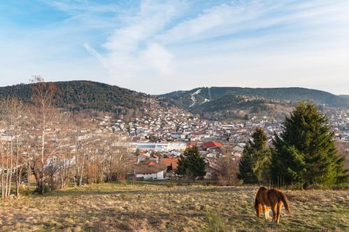 Les Balcons De La Haie Griselle gîte 4/pers