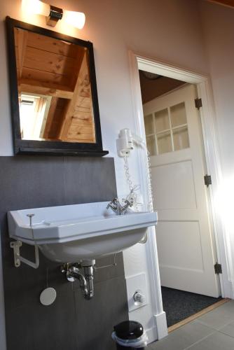 a bathroom with a sink and a mirror at B&B De Pastorie bij Dokkum in Reitsum