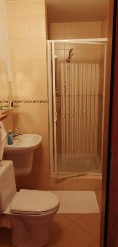 a bathroom with a toilet and a sink and a shower at Pokoje Gościnne Pod Wysotą in Wysowa-Zdrój