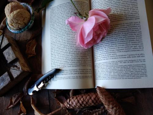 a book with a flower and a pen on it at La Baita Suite in Sicignano degli Alburni