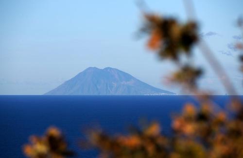 Φυσικό τοπίο κοντά σε αυτό το διαμέρισμα