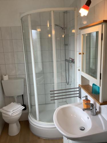 a bathroom with a shower and a toilet and a sink at Pension Villa Wolkenlos in Dahme