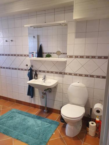 łazienka z toaletą i umywalką w obiekcie Skärgårdsidyll på Björkö med gångavstånd till havet w mieście Skarvik