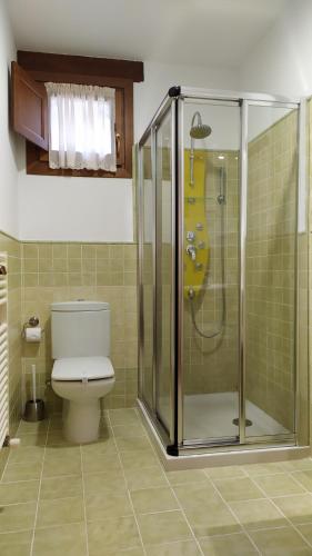 a bathroom with a toilet and a shower with a guitarssonsson at Camin de Muniellos apartamentos rurales in Cangas del Narcea