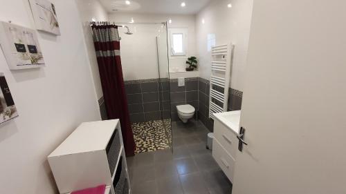 ein Bad mit einer Dusche, einem WC und einem Waschbecken in der Unterkunft pepiniere in Nogent-sur-Seine