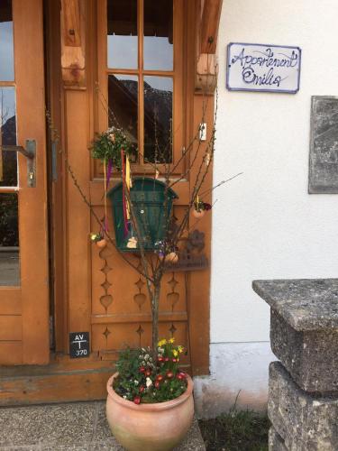 a plant in a pot in front of a door at Appartement Emilia in Hallstatt