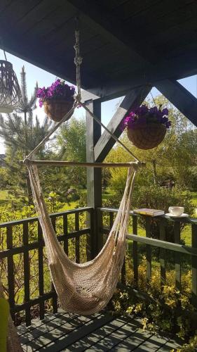Taman di luar Zielony Domek z jacuzzi