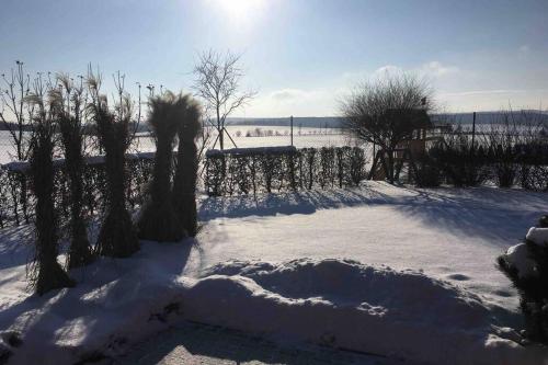 a snow covered yard with trees and a fence at Příjemný apartmán Křoví v rodinném domku se sdíleným bazénem, terasou a zahradou in Křoví