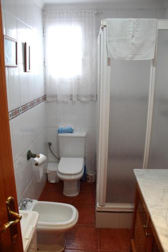 エステポナにあるApartamento Esteponaの小さなバスルーム(トイレ、シャワー付)