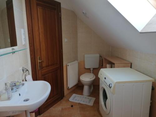 a bathroom with a toilet and a sink and a washing machine at Marianna Apartman in Gyenesdiás