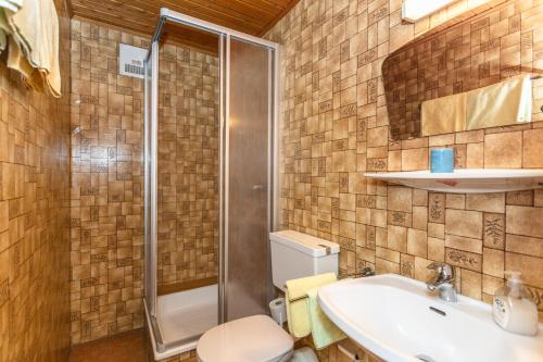 a bathroom with a shower and a sink and a toilet at Ferienhaus Alpenrose in Bruck an der Großglocknerstraße