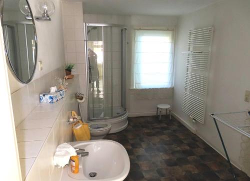 ein Bad mit einem Waschbecken, einer Dusche und einem WC in der Unterkunft Ferienwohnungen am Weinberg Bad Sulza in Bad Sulza
