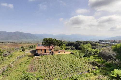 a house in the middle of a field at Tuccio's Villa in Solicchiata