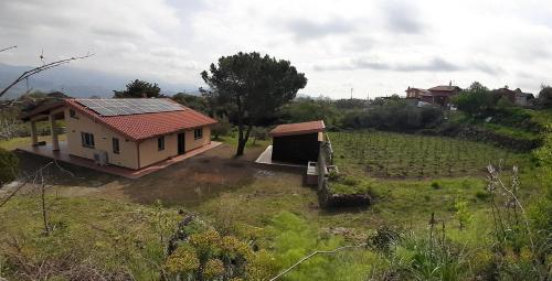 a small house in the middle of a field at Tuccio's Villa in Solicchiata