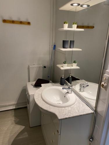 une salle de bain blanche avec un lavabo et un miroir dans l'établissement Cosylocation Le Bois Perrin, à Rennes