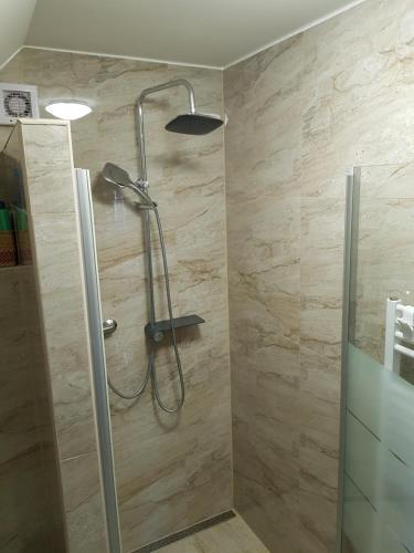 a shower with a shower head in a bathroom at Apartmán s vinným sklepem VIKTORIE Pouzdřany in Pouzdřany