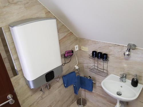 a bathroom with a sink and a white sink at Apartmán s vinným sklepem VIKTORIE Pouzdřany in Pouzdřany