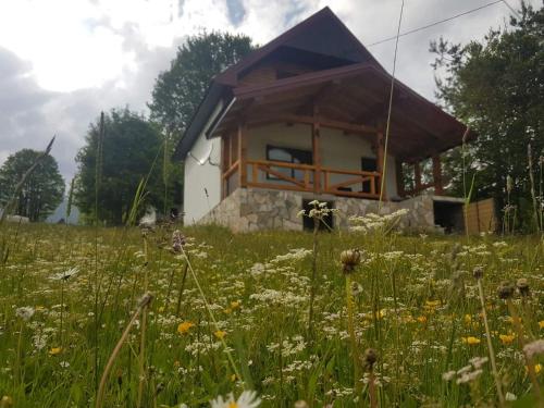 a cabin in a field of grass with flowers at Eco Village Highlander in Žabljak