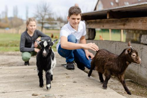 two young people are running with two goats at Gästezimmer Das Hambammer in Heimschuh