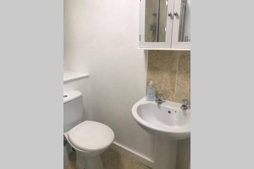 a white bathroom with a toilet and a sink at Apartments in the heart of Penzance in Penzance